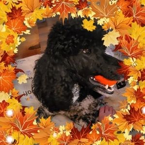 Meet your Posher, Mary